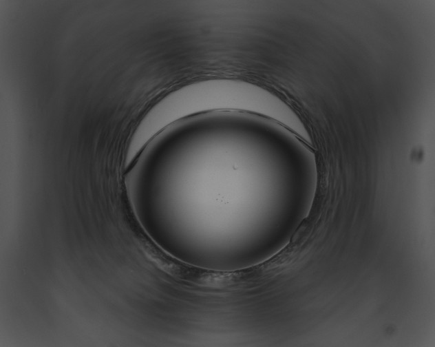 X0000091640084200708301407