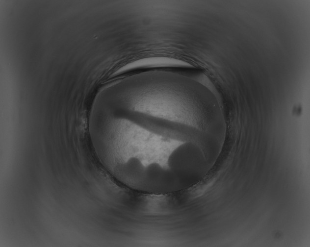 X0000091640085200708301407