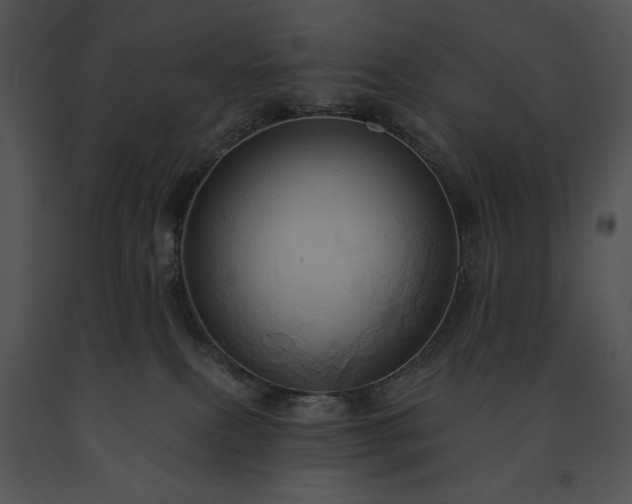 X0000091640087200708301407