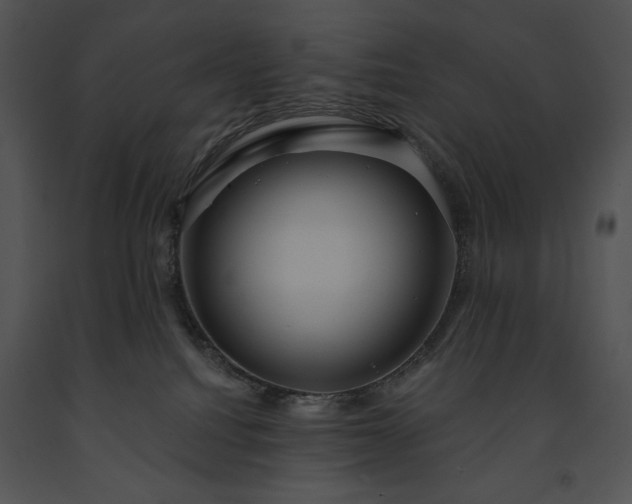 X0000091640088200708301407