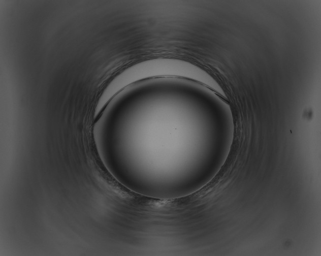 X0000091640092200708301407