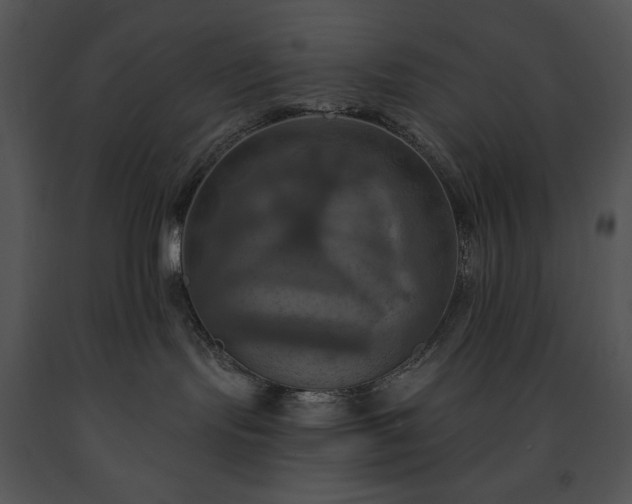 X0000091640095200708301407