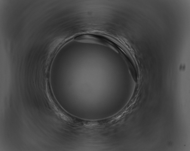 X0000091640097200708301407