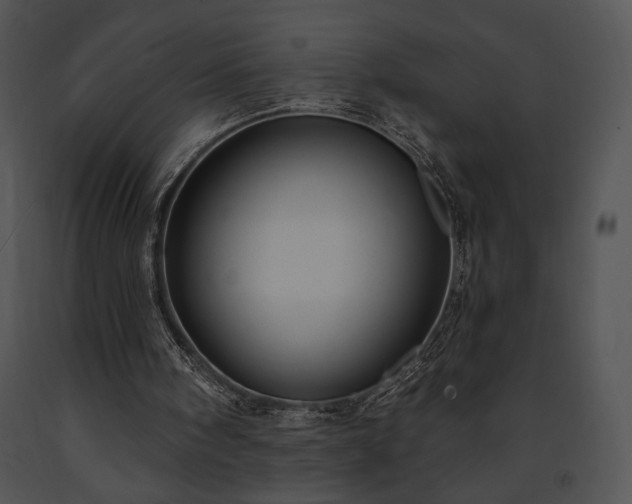 X0000091640098200708301407