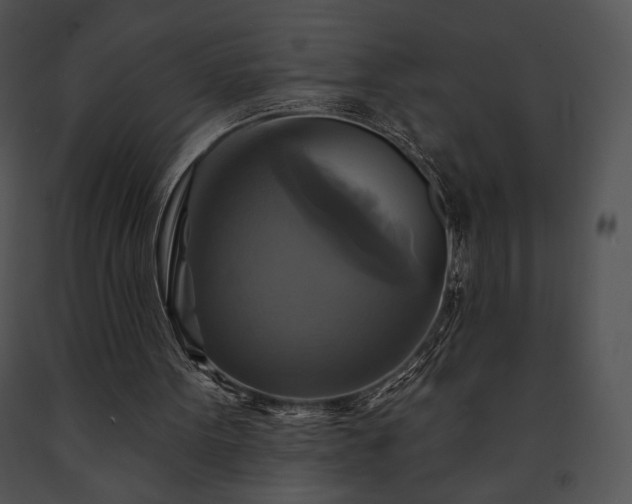 X0000091640099200708301407