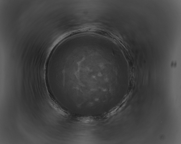 X0000091640100200708301407