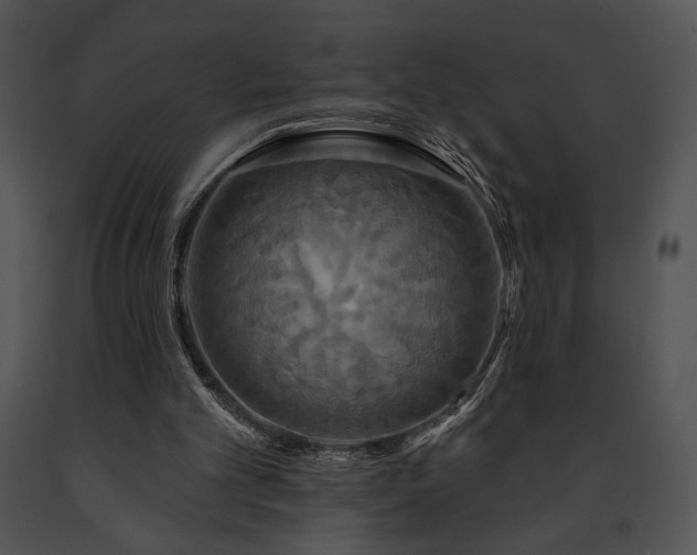 X0000091640101200708301407