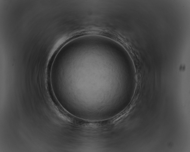 X0000091640102200708301407
