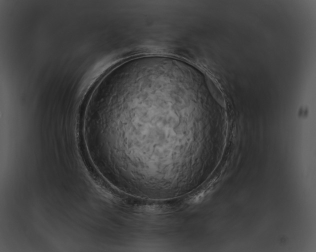 X0000091640103200708301407
