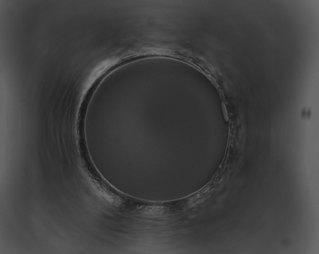X0000091640104200708301407
