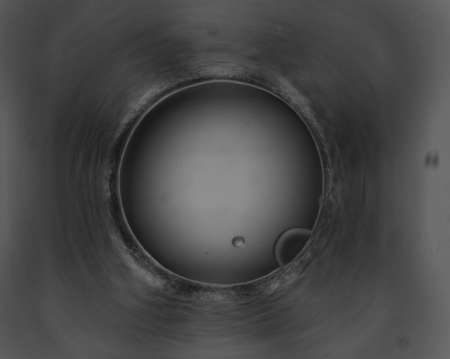 X0000091640106200708301407