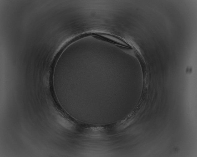 X0000091640108200708301407
