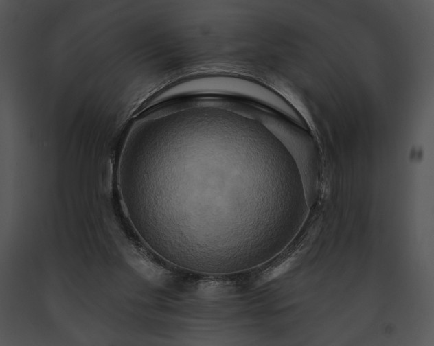 X0000091640109200708301407