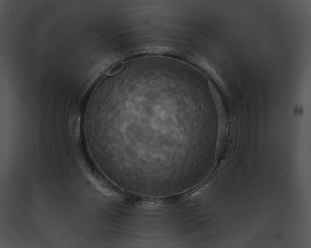 X0000091640110200708301407