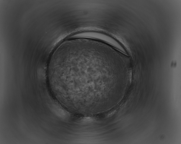X0000091640111200708301407
