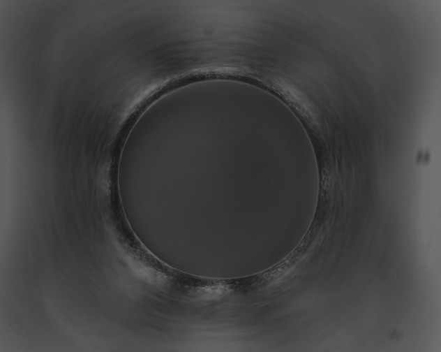 X0000091640112200708301407