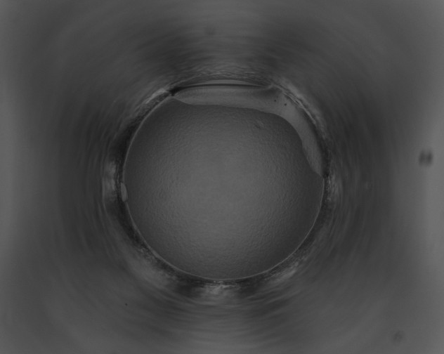 X0000091640117200708301407