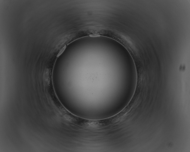 X0000091640121200708301407