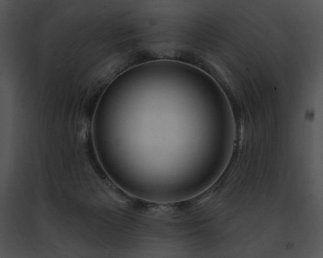 X0000091640125200708301406