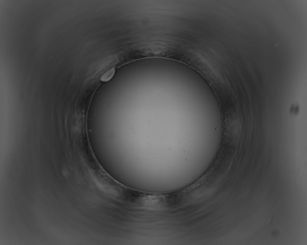 X0000091640126200708301406