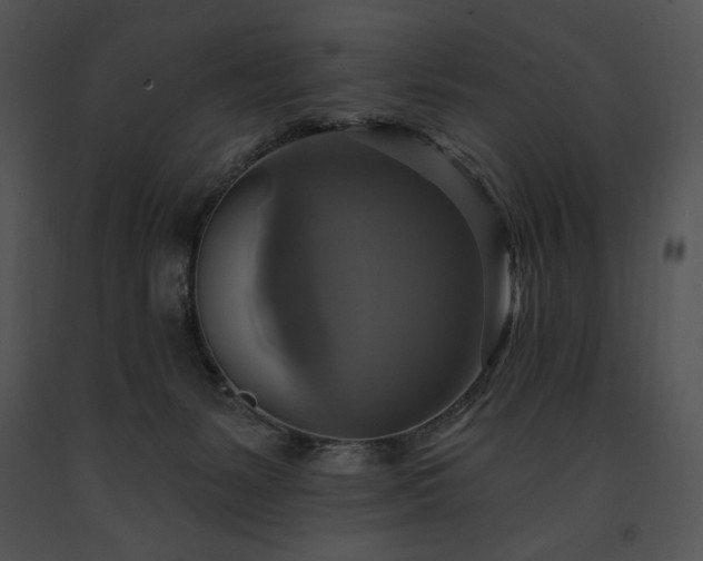 X0000091640127200708301406