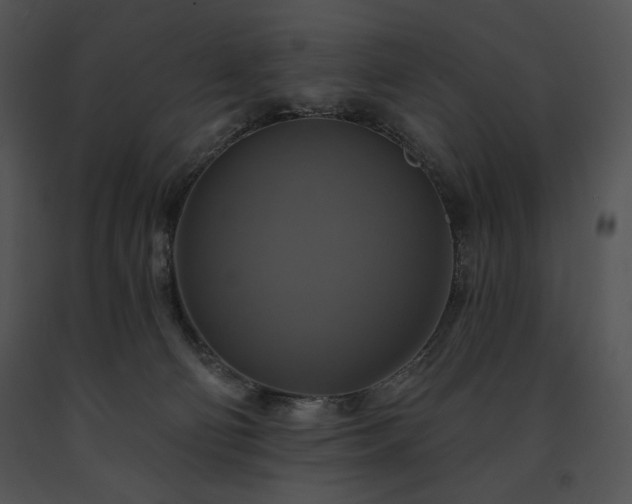 X0000091640130200708301406