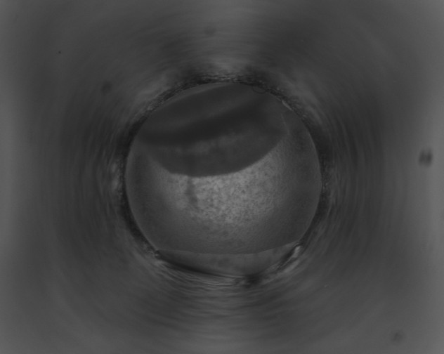 X0000091640131200708301406