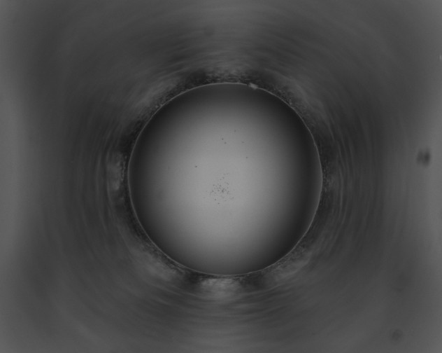X0000091640133200708301406