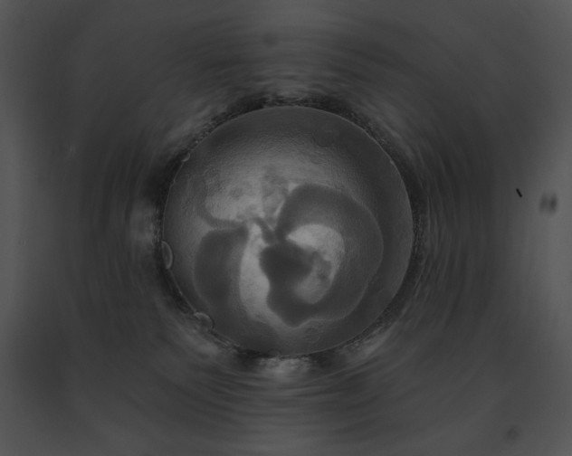 X0000091640135200708301406