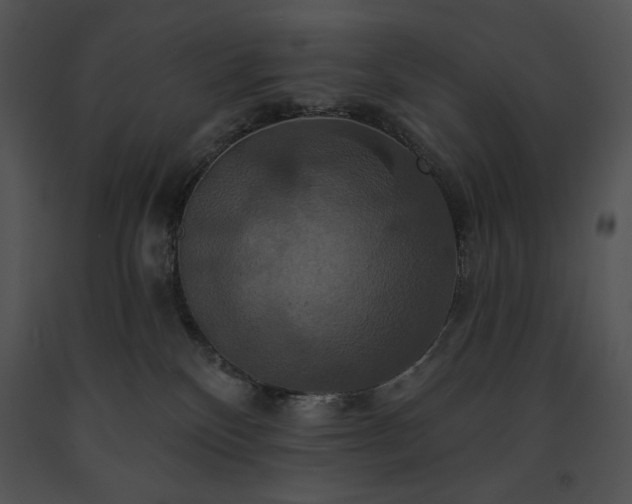 X0000091640136200708301406