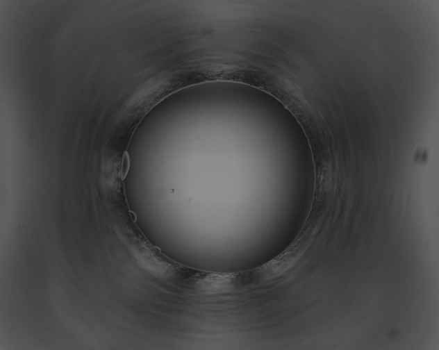 X0000091640138200708301406