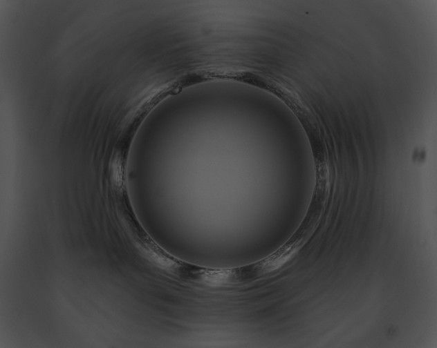 X0000091640143200708301406