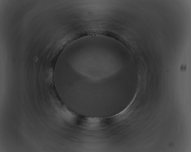 X0000091640144200708301406