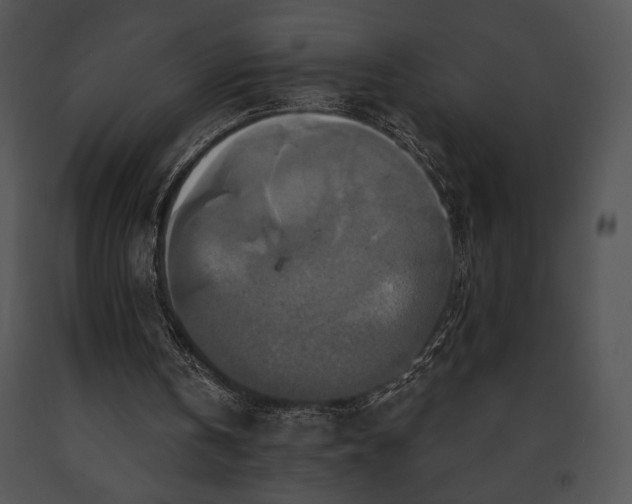 X0000091640146200708301406