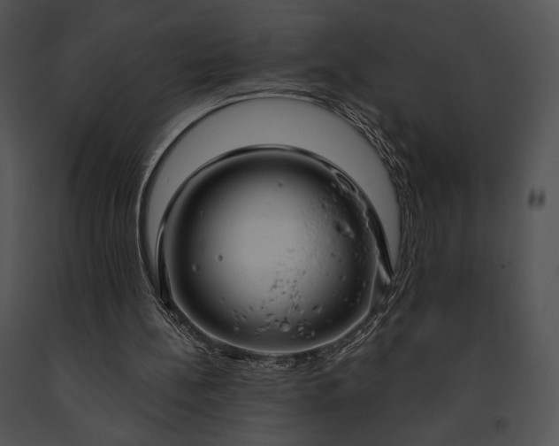 X0000091640148200708301406