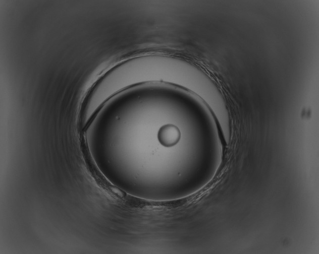 X0000091640150200708301406