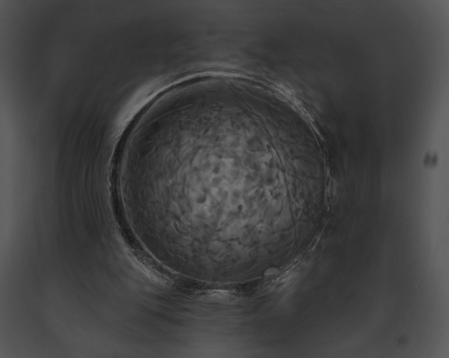 X0000091640151200708301406