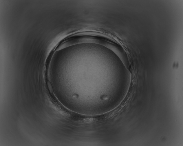 X0000091640152200708301406