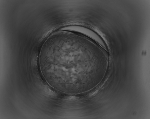X0000091640153200708301406