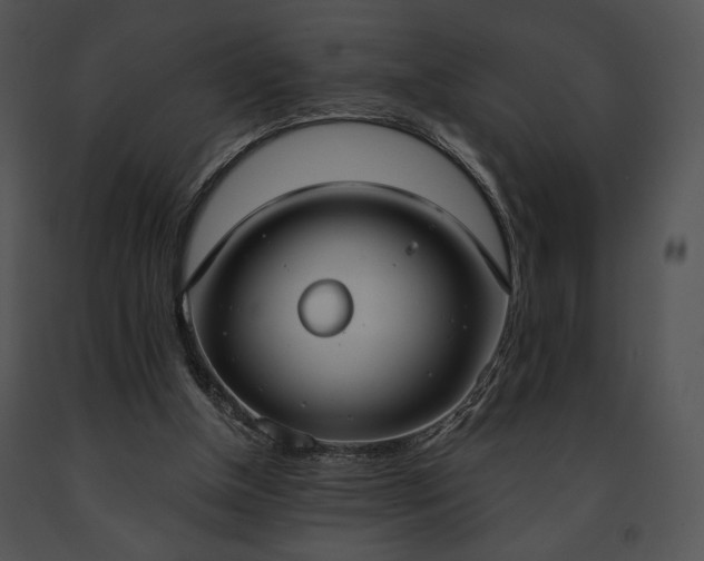 X0000091640154200708301406