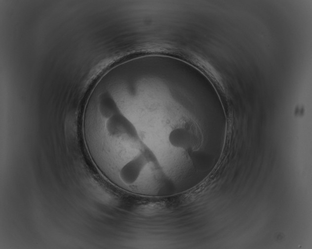 X0000091640155200708301406