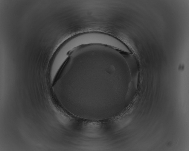 X0000091640156200708301406