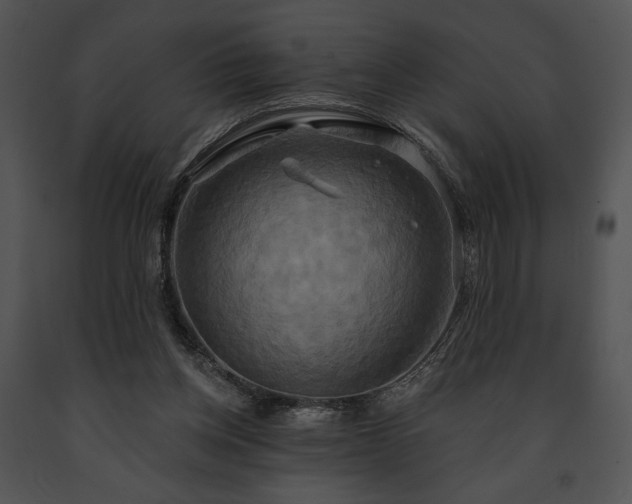 X0000091640158200708301406