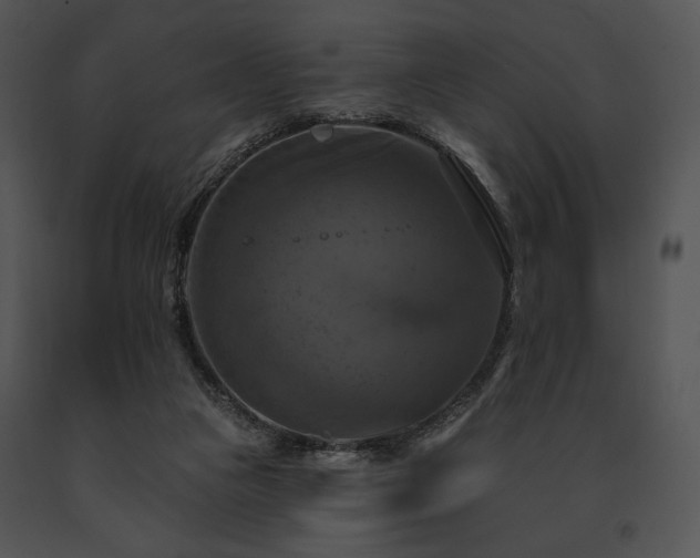 X0000091640161200708301406