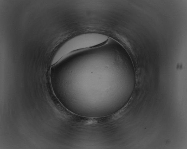 X0000091640162200708301406