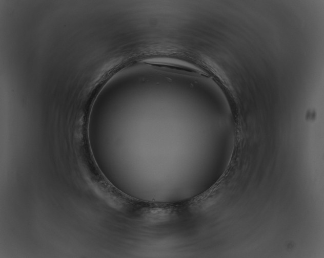 X0000091640163200708301406