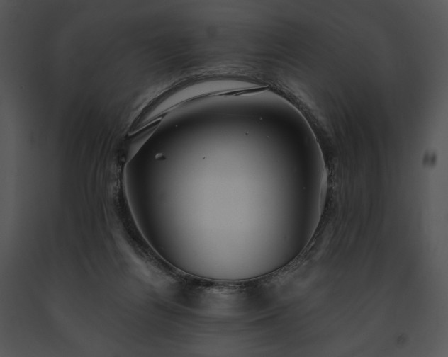 X0000091640164200708301406