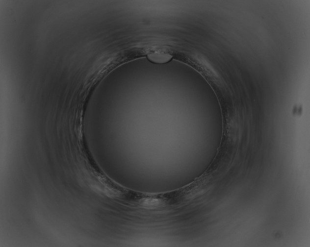 X0000091640169200708301406