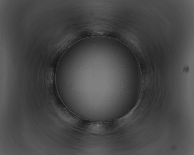 X0000091640174200708301406