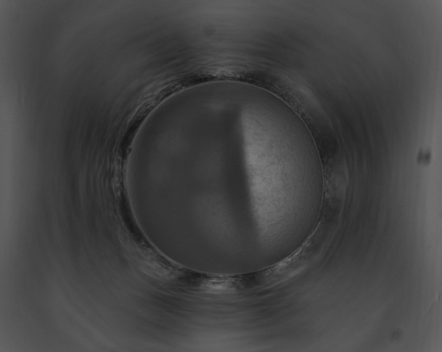 X0000091640175200708301406